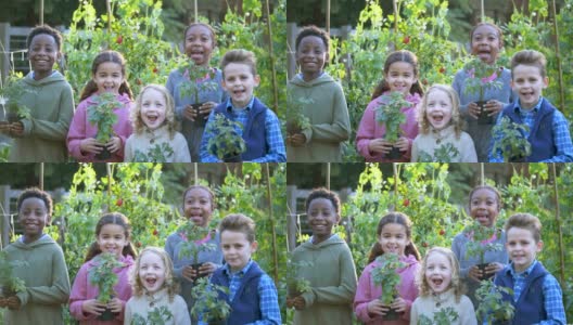 多种族儿童一起站在社区花园高清在线视频素材下载