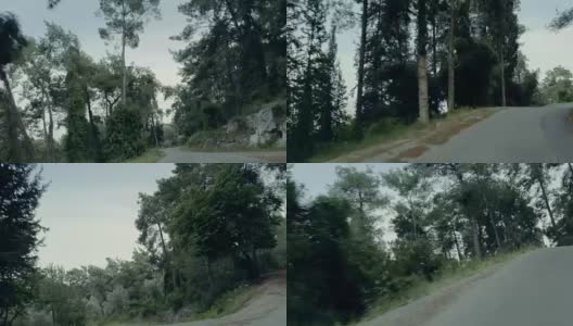 在森林道路上开车高清在线视频素材下载