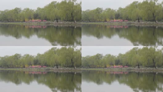 北京的圆明园高清在线视频素材下载