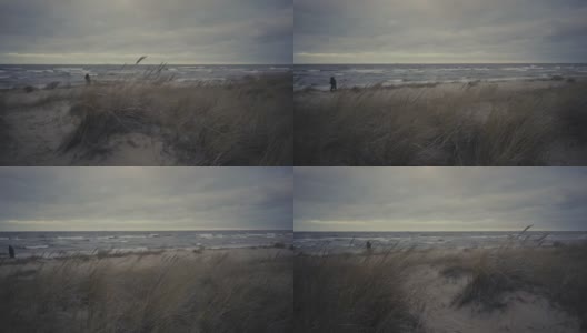 波罗的海冬季风暴的背景沙丘高清在线视频素材下载