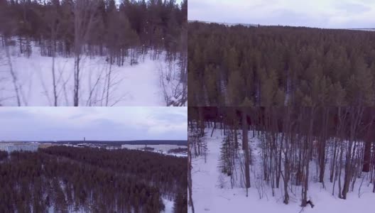 爬过冬天的森林高清在线视频素材下载