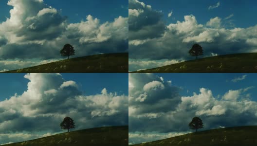 景观与单一的树在地平线上的草原山与浮云在背景高清在线视频素材下载