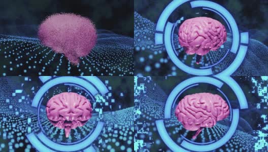3D渲染现实大脑的粒子旋转与浅粉色的蓝色抽象HUD和粒子场背景高清在线视频素材下载