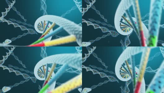 DNA海滩分子模型高清在线视频素材下载