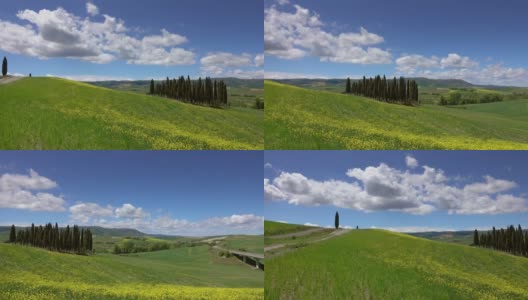 托斯卡纳的山丘，绿色的田野上开着黄色的花高清在线视频素材下载