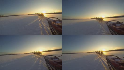 在日落时，雪橇狗在雪地上。高清在线视频素材下载
