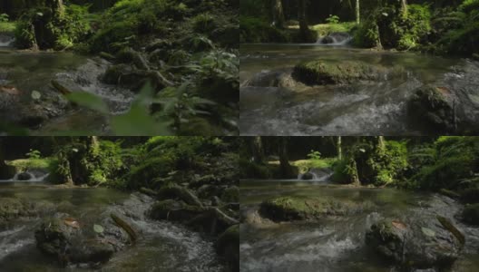 封闭的水流过苔藓岩石通过绿色植物在树荫下的热带森林。自然美。丛林里的清新小溪。高清在线视频素材下载