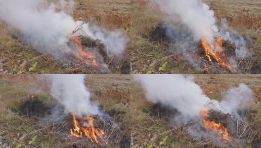 火焰烟燃烧的树叶燃烧是有害的环境高清在线视频素材下载