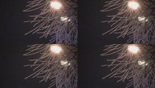 冬季夜晚的城市街道高清在线视频素材下载