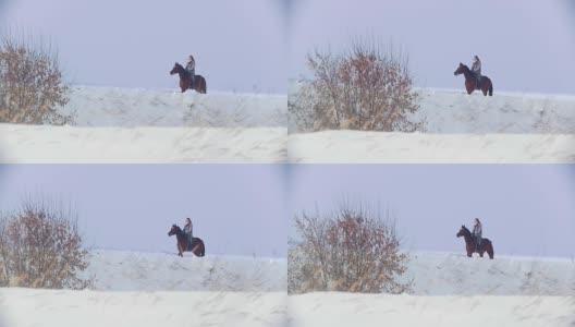 美丽的长发女子骑着一匹棕色的马穿过森林里的深雪堆高清在线视频素材下载