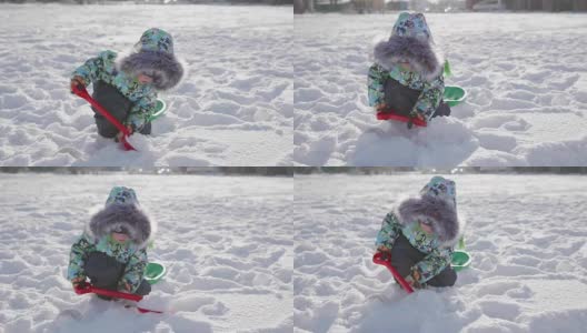 一个小孩在冬天的公园里玩雪。阳光明媚的冬日。新鲜的空气里充满了乐趣和游戏。高清在线视频素材下载