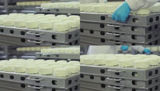 在牛奶工厂，工人将准备好包装的奶酪托盘放在其他托盘上。乳制品。奶酪生产的现代食品工厂。食品行业高清在线视频素材下载