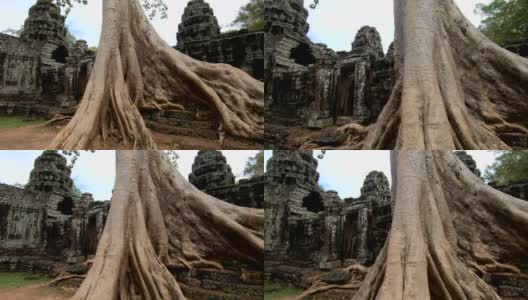柬埔寨暹粒的Prasat Ta prohm寺庙高清在线视频素材下载