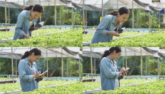 亚洲农民在她的农场使用平板电脑高清在线视频素材下载