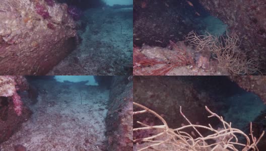 水肺潜水穿过深海水下洞穴高清在线视频素材下载