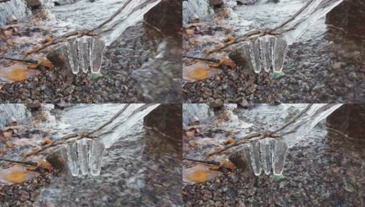 芬兰，当湖面开始结冰时，植物被冰覆盖高清在线视频素材下载