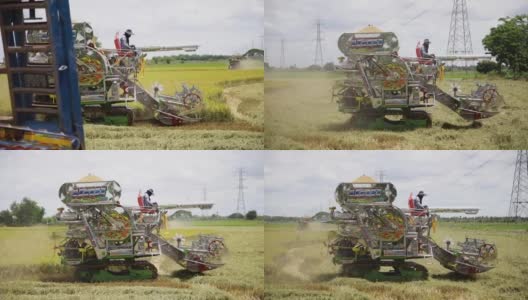 收获机是用来收获稻田的高清在线视频素材下载
