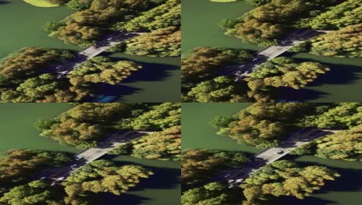 T/L鸟瞰通过湖泊和树木区域的道路高清在线视频素材下载