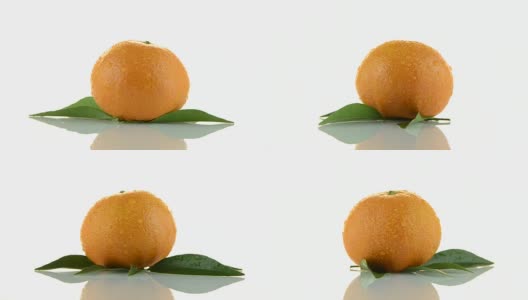 橘子高清在线视频素材下载