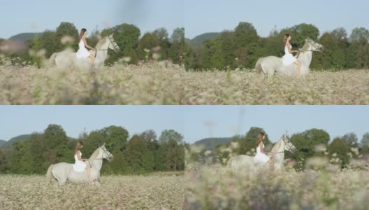 慢动作:电影镜头的女孩骑着一匹种马疾驰。高清在线视频素材下载