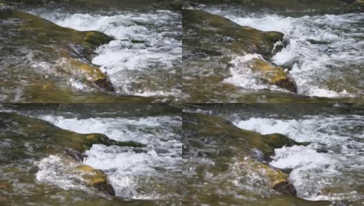 慢动作特写的急流，迅速流动的泉水与一些秋天五颜六色的叶子在水中。灰色的大石，秋天的落叶。瀑布在下降。大自然的风景高清在线视频素材下载