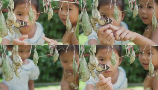 两个可爱的亚洲小女孩试图用好奇和有趣的慢镜头触摸彩色蝴蝶。高清在线视频素材下载