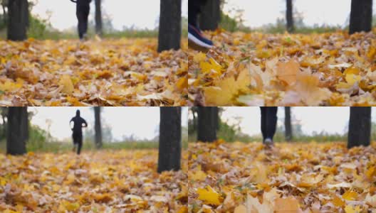 男跑步者在秋天的公园里踩着干燥的枫叶跑步。年轻的运动员在多彩的落叶上慢跑。不可辨认的运动员训练的性质。美丽的景观模糊。后视高清在线视频素材下载