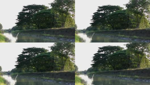 宁静的河流时刻与绿色的自然在乡村高清在线视频素材下载