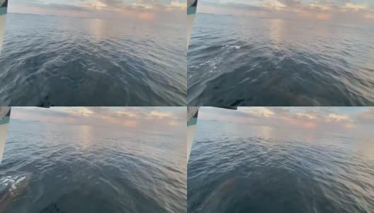 一只海豚在黄昏时跳在一艘船的前面高清在线视频素材下载