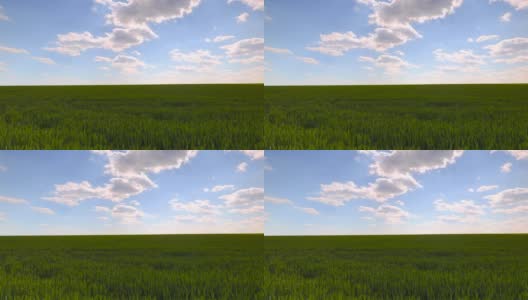 在蓝天白云的映衬下飞过绿色的农田，4k视频高清在线视频素材下载