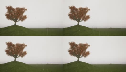一棵秋天的树在草地上高清在线视频素材下载