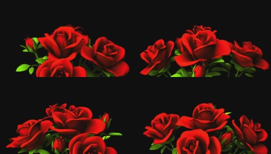 黑色文本空间上的红玫瑰花束高清在线视频素材下载