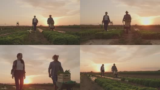 SLO MO夫妇在工作结束后在田野里散步高清在线视频素材下载