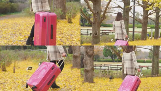 在日本的这个公园里，一名亚洲女游客面带微笑，提着粉红色的行李，看着美丽的黄色银杏叶在秋天飘落。日本旅游背面的亚洲女性游客走在粉红色的行李和外观和季节变化的概念。高清在线视频素材下载