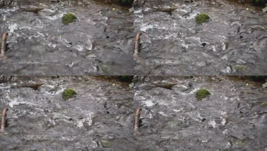 一个小河流流过岩石的特写高清在线视频素材下载