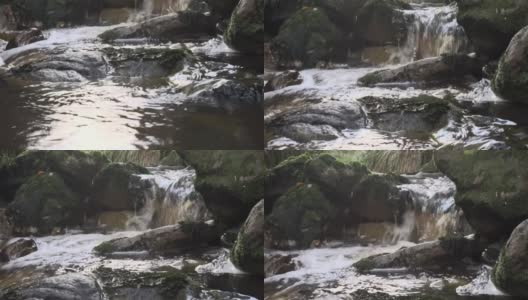 一条小河在安静的森林里流过岩石高清在线视频素材下载