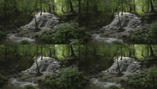 美丽宁静的风景瀑布流过岩石之间郁郁葱葱的植物在夏天的早晨在雨林。奇妙的丛林之旅。高清在线视频素材下载