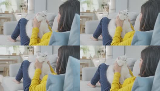 亚洲女人抱着小猫在家里玩得很开心。有魅力的漂亮女性坐在沙发上，悠闲地消磨时间，与她的宠物在客厅温柔地交谈。高清在线视频素材下载