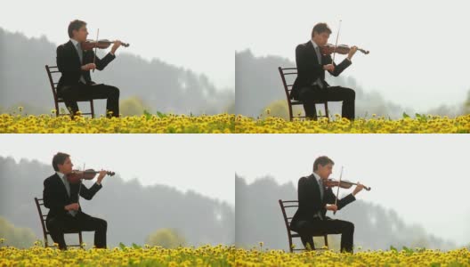 高清多莉:在户外拉小提琴高清在线视频素材下载
