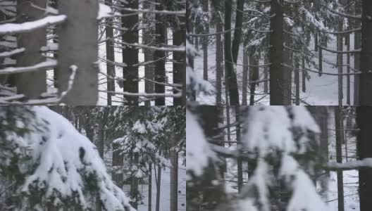 树木在冬天经过高清在线视频素材下载