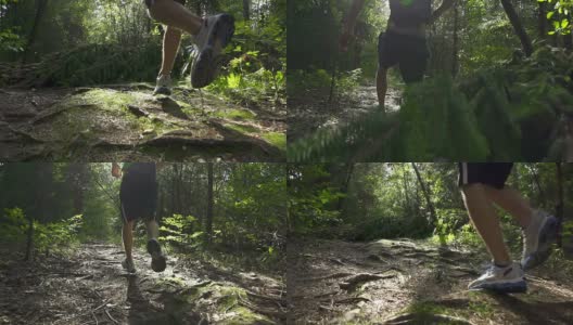 慢镜头:一个人慢跑穿过森林高清在线视频素材下载
