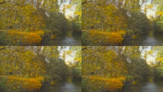 秋天，安静的河流和公园里的树木高清在线视频素材下载