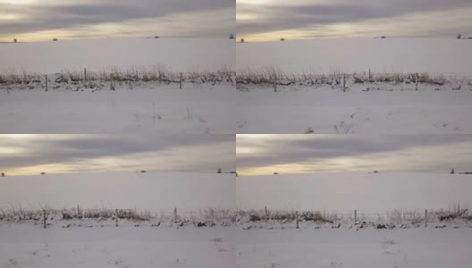 在雪地里沿着篱笆移动高清在线视频素材下载