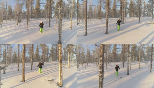 AERIAL:活跃的女人在冬天的晚上穿雪鞋穿过拉普兰森林高清在线视频素材下载