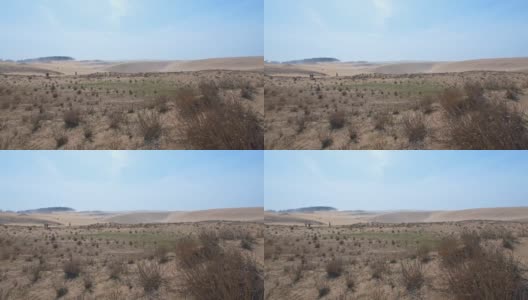 手持拍摄的鸟取沙丘(鸟取Sakyu)在阳光明媚的日子与蓝天高清在线视频素材下载