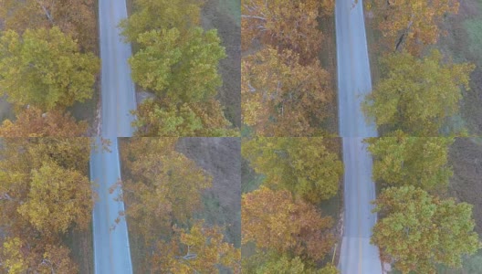 空中秋天景色高清在线视频素材下载