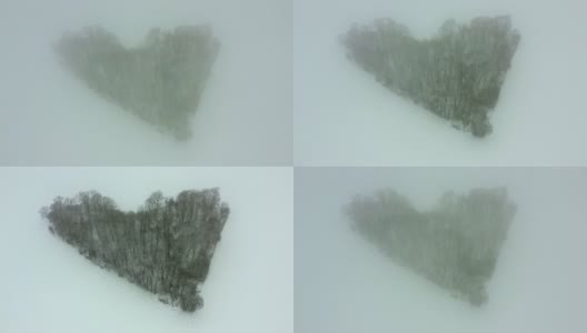 无人机拍摄的是一片真正的心形森林。雪地背景下的浪漫景象。情人节的冬天。高清在线视频素材下载
