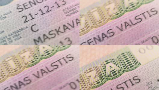 旅客护照。欧盟。签证控制。全息图和水印是一种防伪手段。高清在线视频素材下载