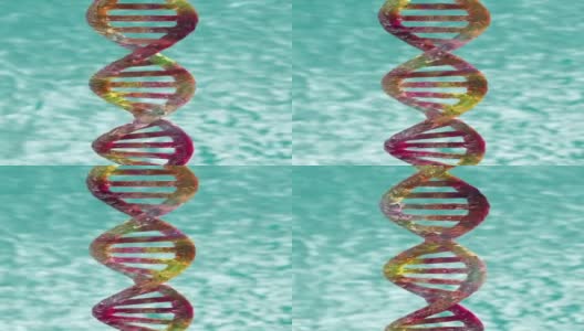 DNA双螺旋的三维结构模型。孤立的环状旋转的DNA分子与复制/空空间周围为你的文本或描述。高清在线视频素材下载