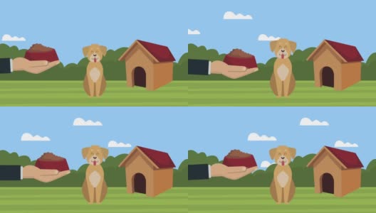 狗吉祥物与食物在房子动画高清在线视频素材下载